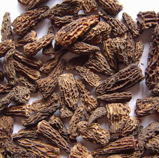 廣元山菇 綠色珍寶，品味自然之韻