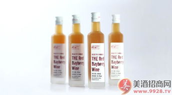 湘西風味，梅香醉人——靖州湘百仕楊梅酒產品展示