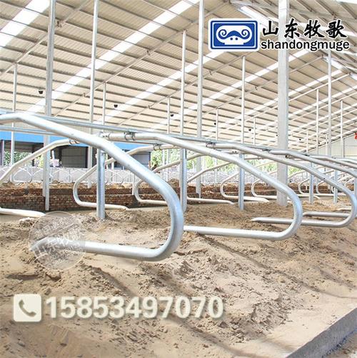 主要從事生產豬場自動飼喂系統,電熱板保溫箱,豬人工產品目錄 畜牧