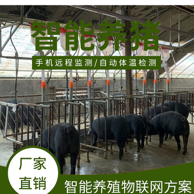 智能養(yǎng)豬解決方案養(yǎng)豬智能設備 智慧養(yǎng)豬