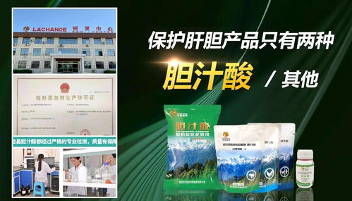熱烈慶祝龍昌動(dòng)保強(qiáng)勢(shì)登陸央視 相信品牌的力量