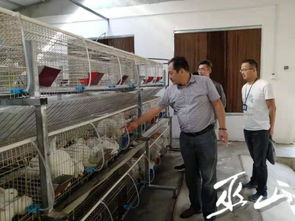 縣農業執法支隊開展國慶節前農業安全大檢查