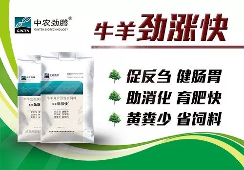 發文不同,5省份生豬跨省調運有何不同