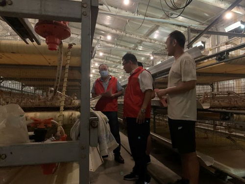 臺兒莊農技人員 送技上門 開展畜牧水產技術服務