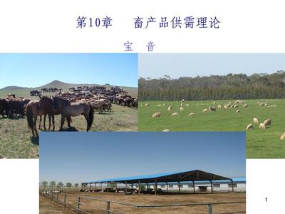 畜牧業經濟管理PPT課件