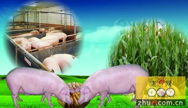展望“十三五”:青海海東農牧重點項目擬投資261億元_行業新聞_器械設備_豬e網