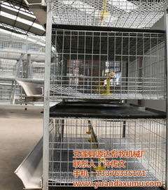 籠,育成籠,蛋雞籠,公雞籠及各種籠具 五蓮縣源達畜牧機械廠